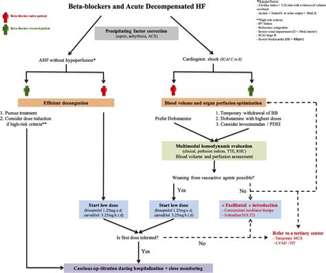 Beta Blockers in Heart Failure Management .